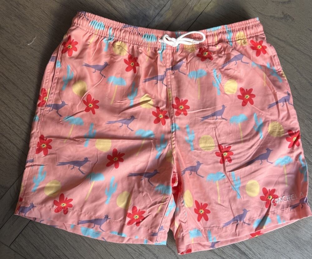 Coachella 2023 Festival Ambsn Collab. Desert Print Roadrunner Mens Shorts Large